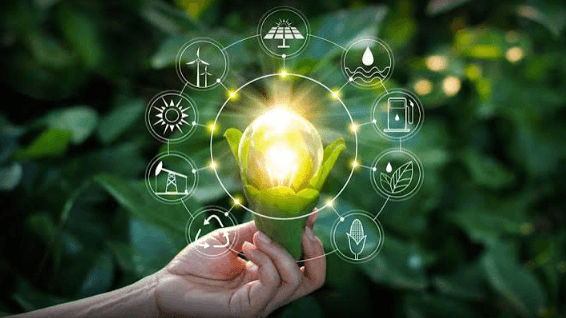 The Role of Technology in Sustainable Innovation